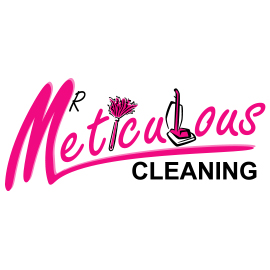 Mr Meticulous Cleaning